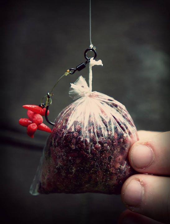 OMG - img4081808015326.jpeg